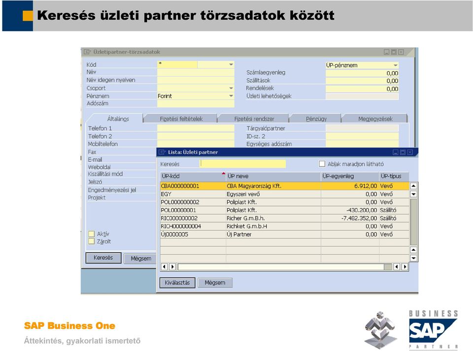 SAP Business One. Üzleti partnerek kezelése. Mosaic Business System Kft.;  Support: - PDF Free Download