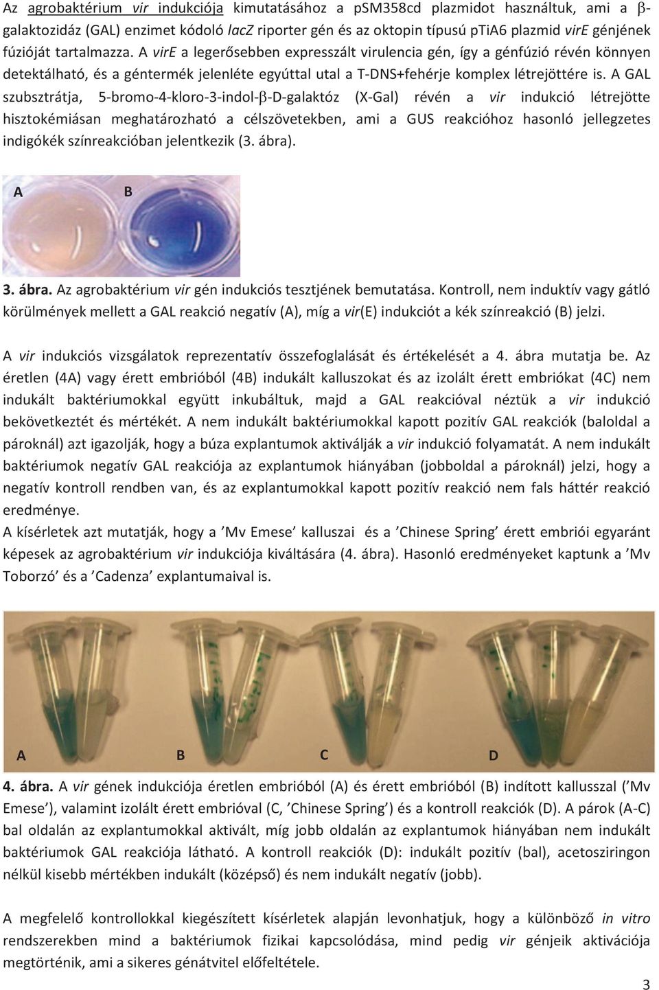 A GAL szubsztrátja, 5-bromo-4-kloro-3-indol- -D-galaktóz (X-Gal) révén a vir indukció létrejötte hisztokémiásan meghatározható a célszövetekben, ami a GUS reakcióhoz hasonló jellegzetes indigókék