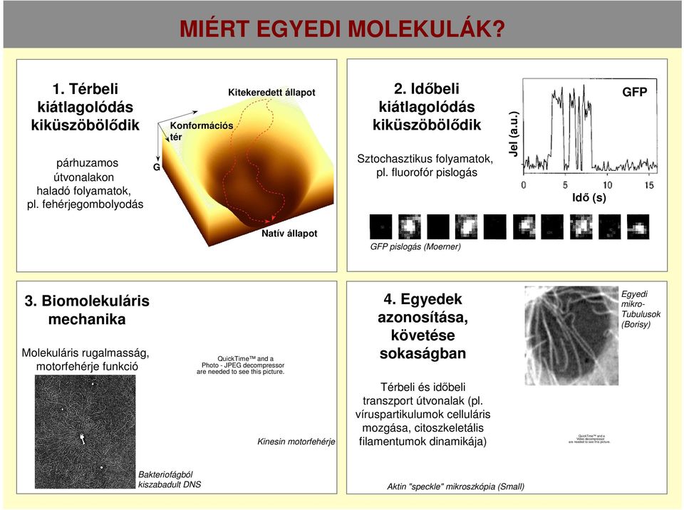 Biomolekuláris mechanika Molekuláris rugalmasság, motorfehérje funkció Photo - JPEG decompressor 4.