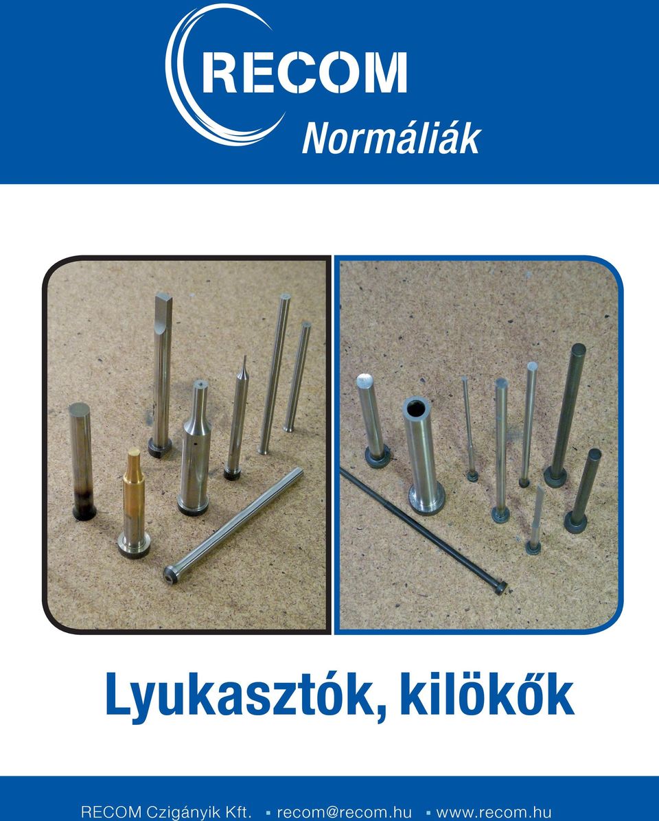 Czigányik Kft.