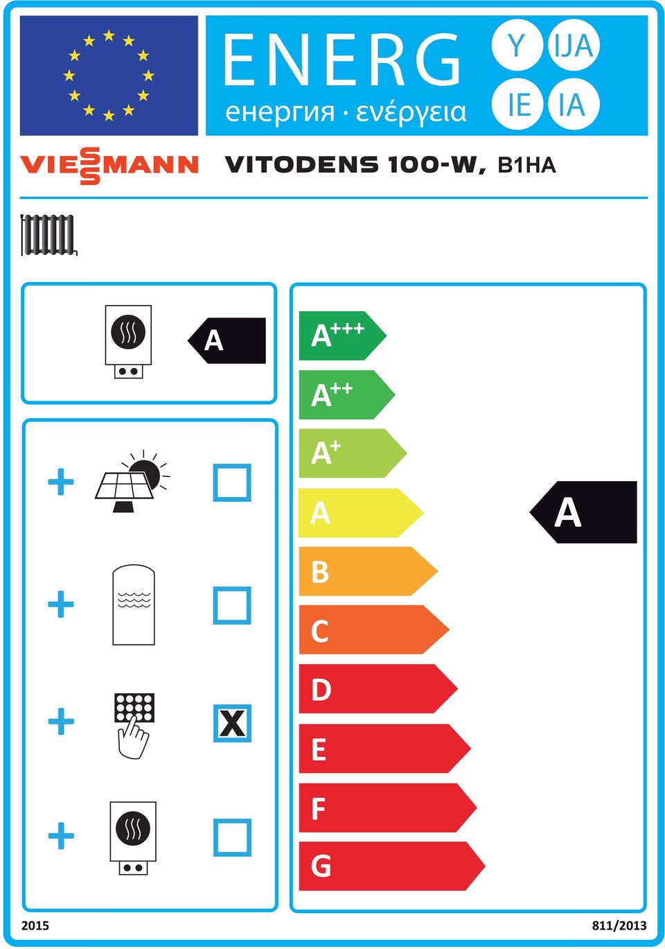 VITODENS 100-W, B1H