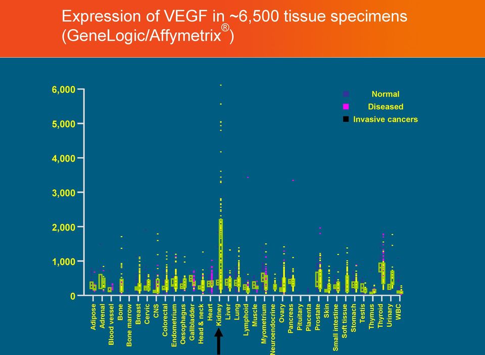 Prostate Skin Small intestine Soft tissue Stomach Testis Thymus Thyroid Urinary WBC Expression of VEGF in