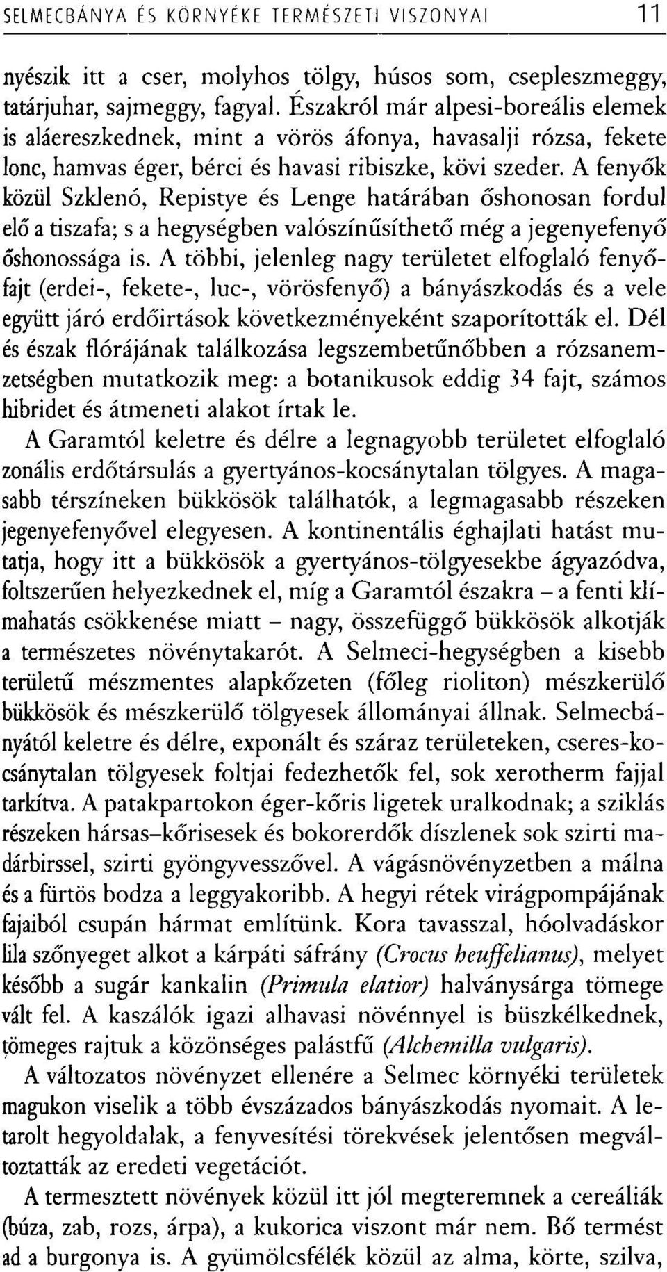 A fenyők közül Szklenó, Repistye és Lenge határában őshonosán fordul elő a tiszafa; s a hegységben valószínűsíthető még a jegenyefenyő őshonossága is.