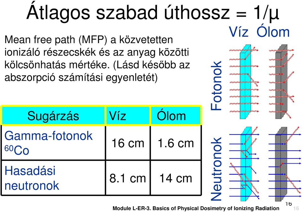 (Lásd késıbb az abszorpció számítási egyenletét) Sugárzás Víz Ólom Gamma-fotonok 60 Co