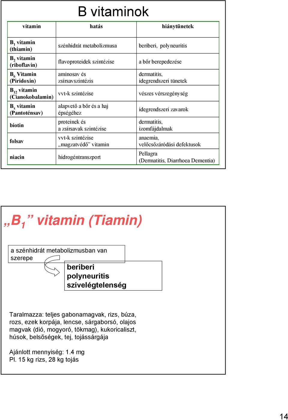 hidrogéntranszport beriberi, polyneuritis a bőr berepedezése dermatitis, idegrendszeri tünetek vészes vérszegénység idegrendszeri zavarok dermatitis, izomfájdalmak anaemia, velőcsőzáródási defektusok