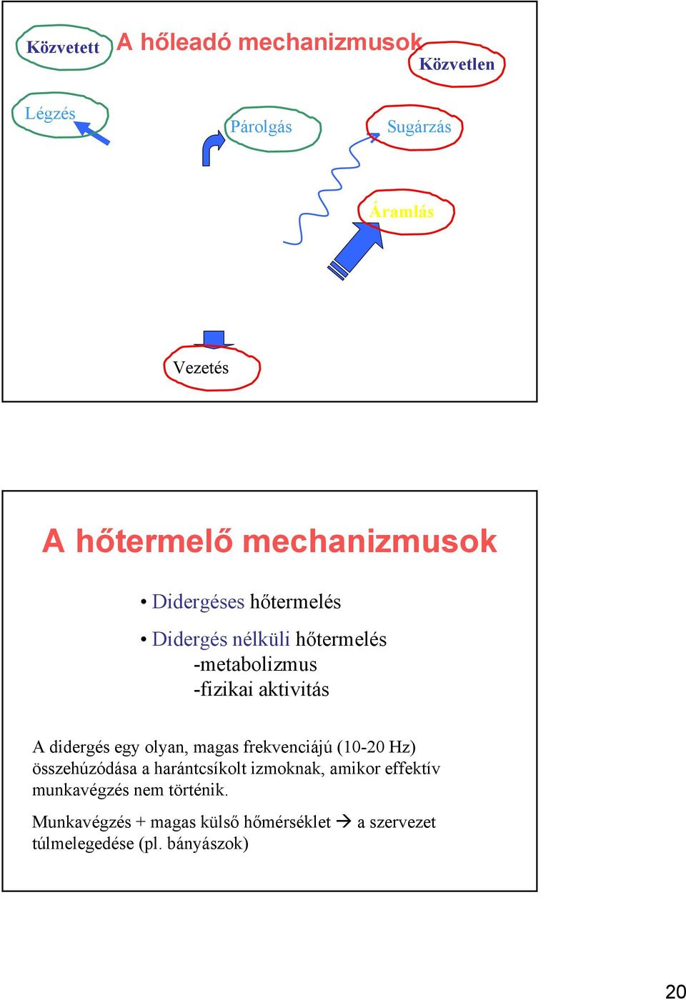 didergés egy olyan, magas frekvenciájú (10-20 Hz) összehúzódása a harántcsíkolt izmoknak, amikor