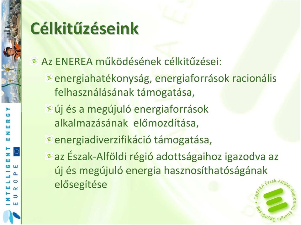 megújulóenergiaforrások alkalmazásának előmozdítása, energiadiverzifikáció