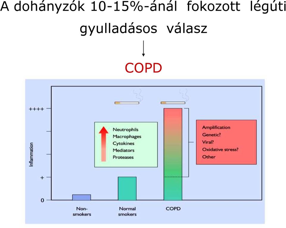 fokozott légúti