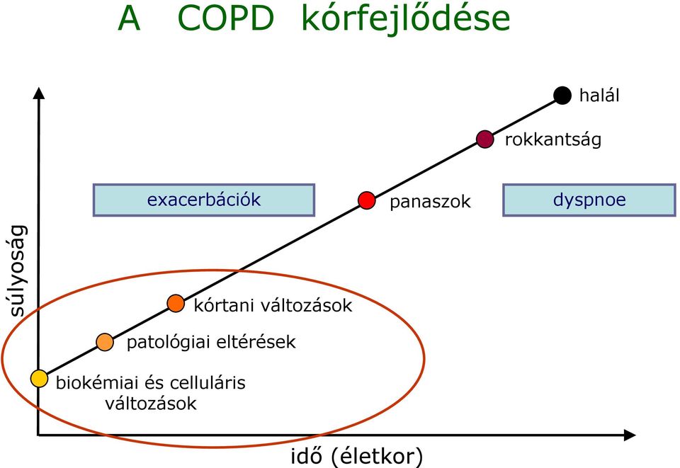 kórtani változások patológiai eltérések