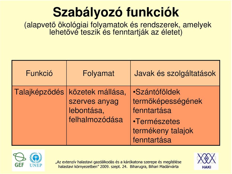 Talajképződés kőzetek mállása, szerves anyag lebontása, felhalmozódása