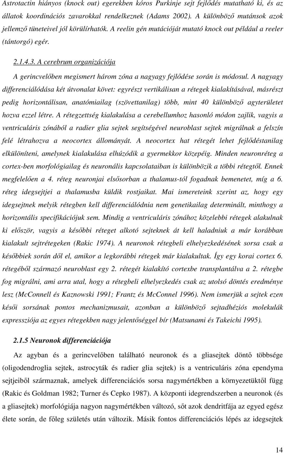 A cerebrum organizációja A gerincvelıben megismert három zóna a nagyagy fejlıdése során is módosul.
