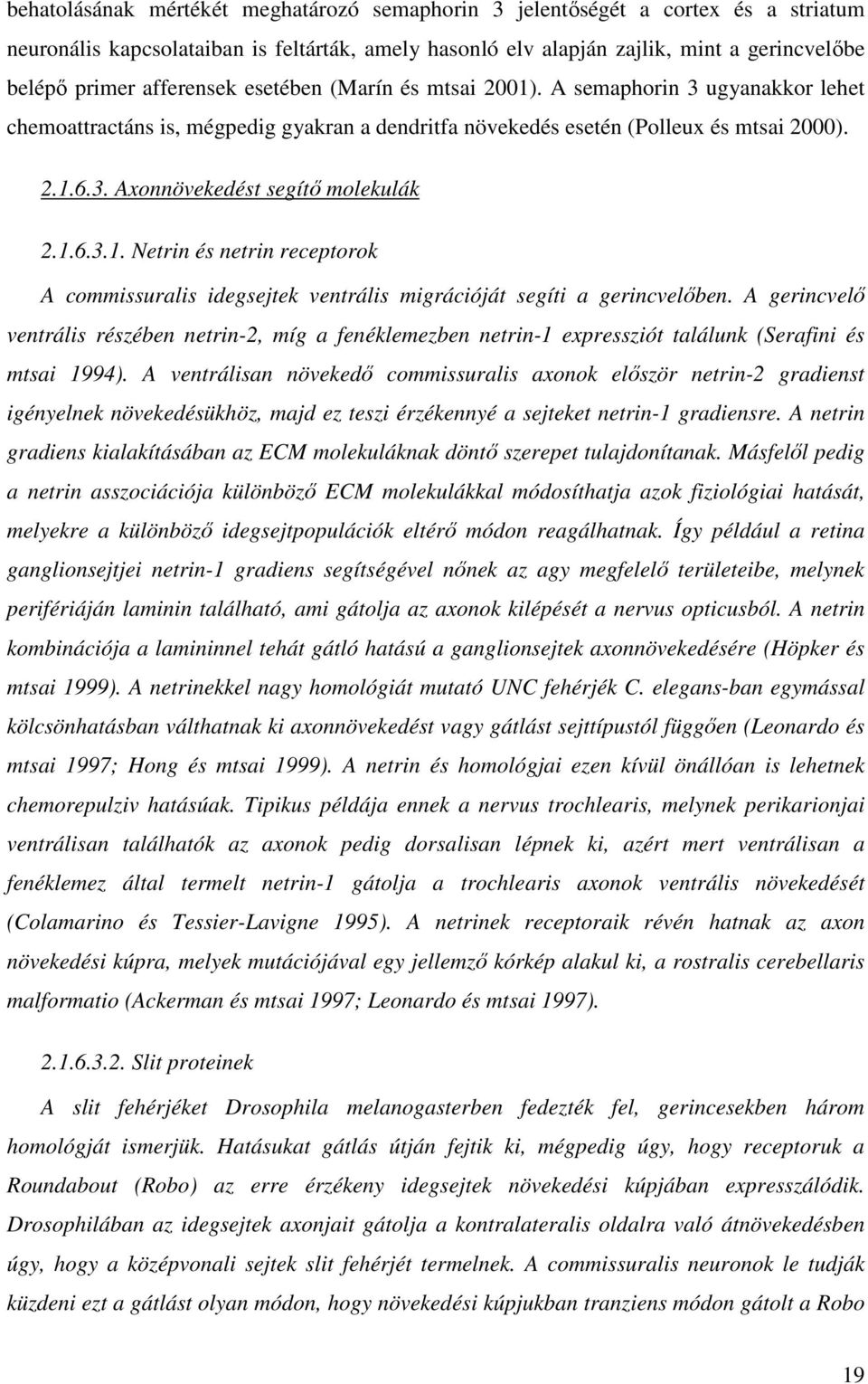 1.6.3.1. Netrin és netrin receptorok A commissuralis idegsejtek ventrális migrációját segíti a gerincvelıben.