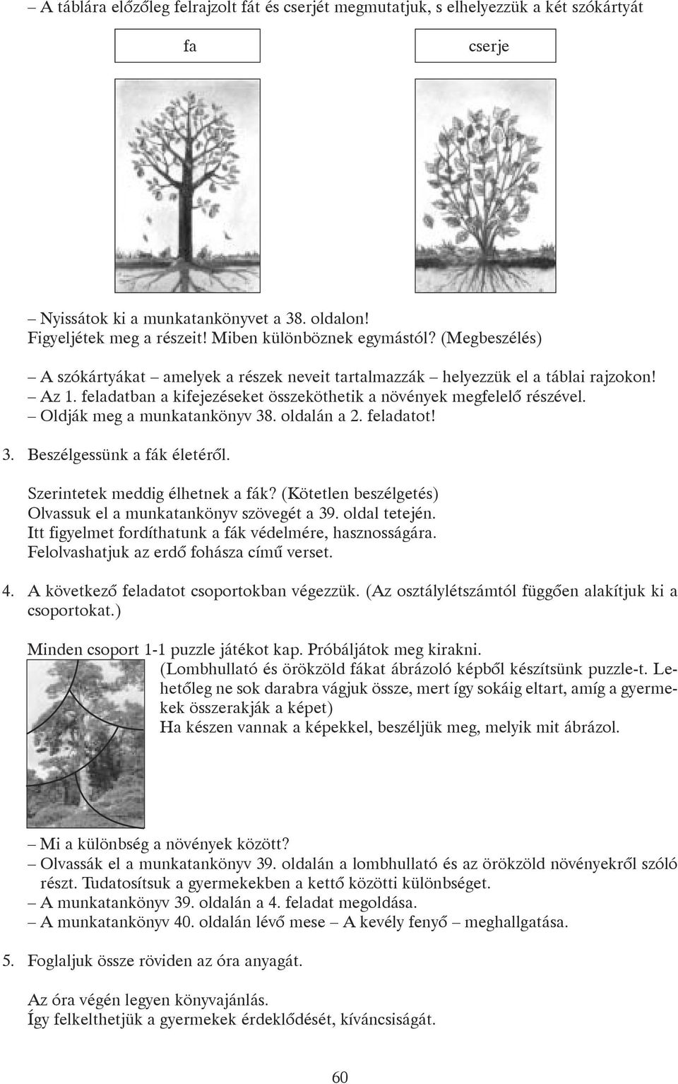 Bauer Melinda. Kis felfedezõ 2. osztály - PDF Free Download