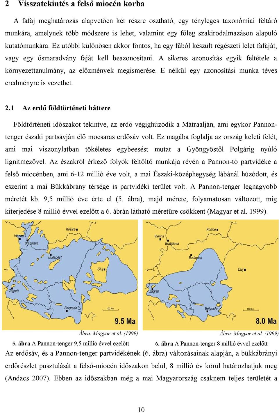 A sikeres azonosítás egyik feltétele a környezettanulmány, az előzmények megismerése. E nélkül egy azonosítási munka téves eredményre is vezethet. 2.