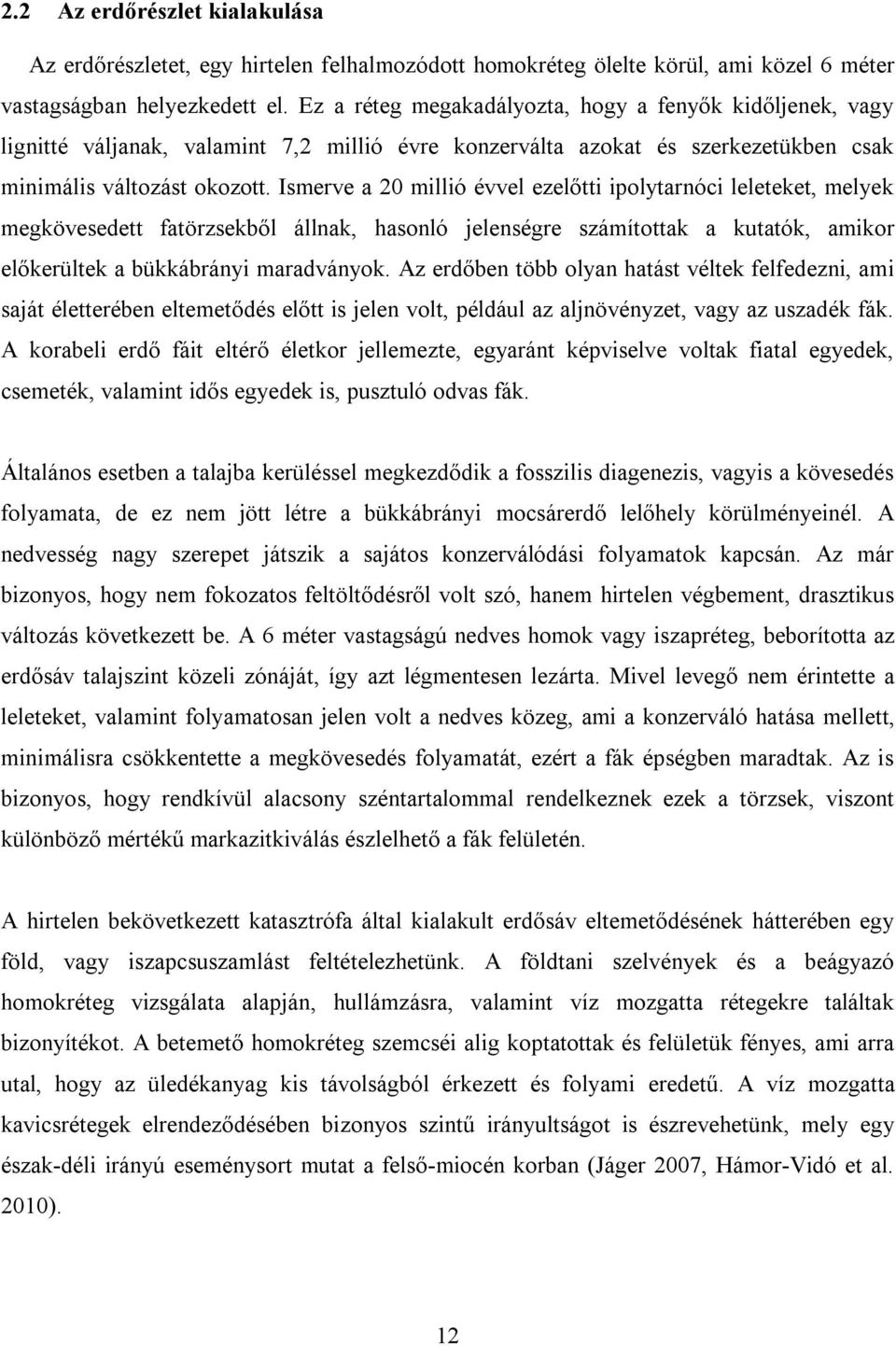 Ismerve a 20 millió évvel ezelőtti ipolytarnóci leleteket, melyek megkövesedett fatörzsekből állnak, hasonló jelenségre számítottak a kutatók, amikor előkerültek a bükkábrányi maradványok.