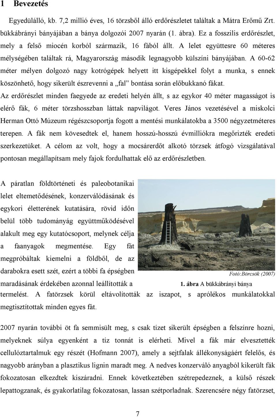 A 60-62 méter mélyen dolgozó nagy kotrógépek helyett itt kisgépekkel folyt a munka, s ennek köszönhető, hogy sikerült észrevenni a fal bontása során előbukkanó fákat.