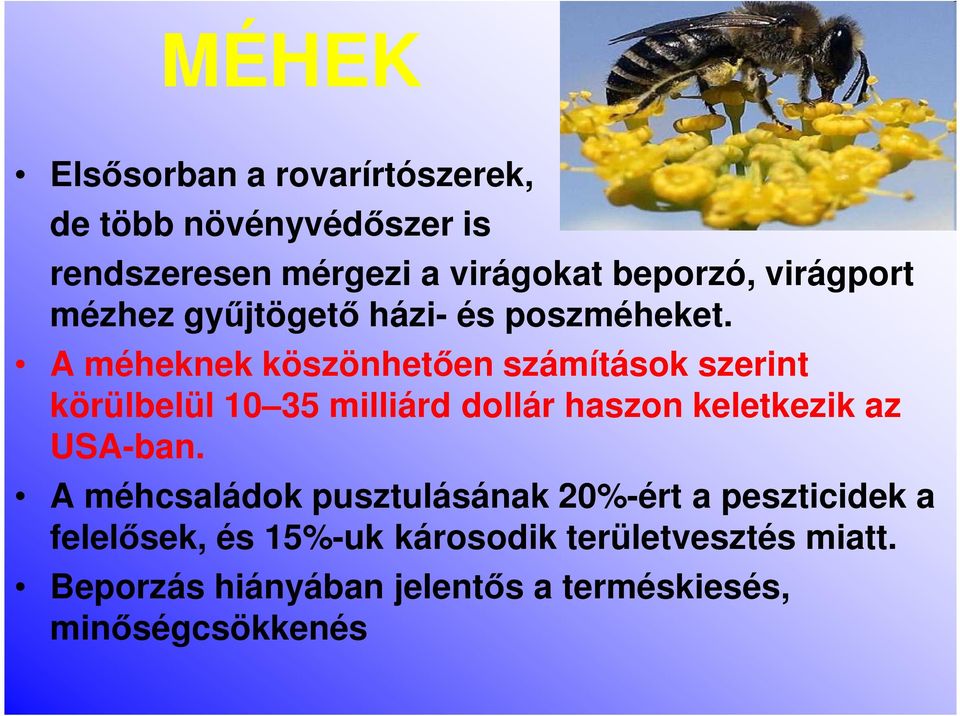 A méheknek köszönhetően számítások szerint körülbelül 10 35 milliárd dollár haszon keletkezik az USA-ban.