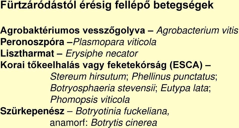 vagy feketekórság (ESCA) Stereum hirsutum; Phellinus punctatus; Botryosphaeria