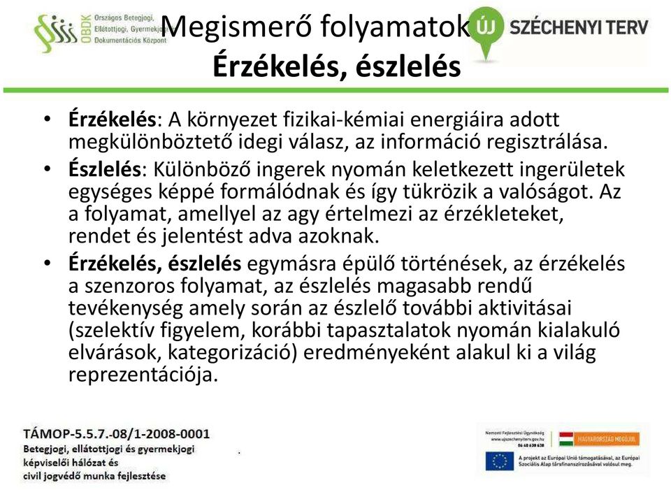 Az a folyamat, amellyel az agy értelmezi az érzékleteket, rendet és jelentést adva azoknak.