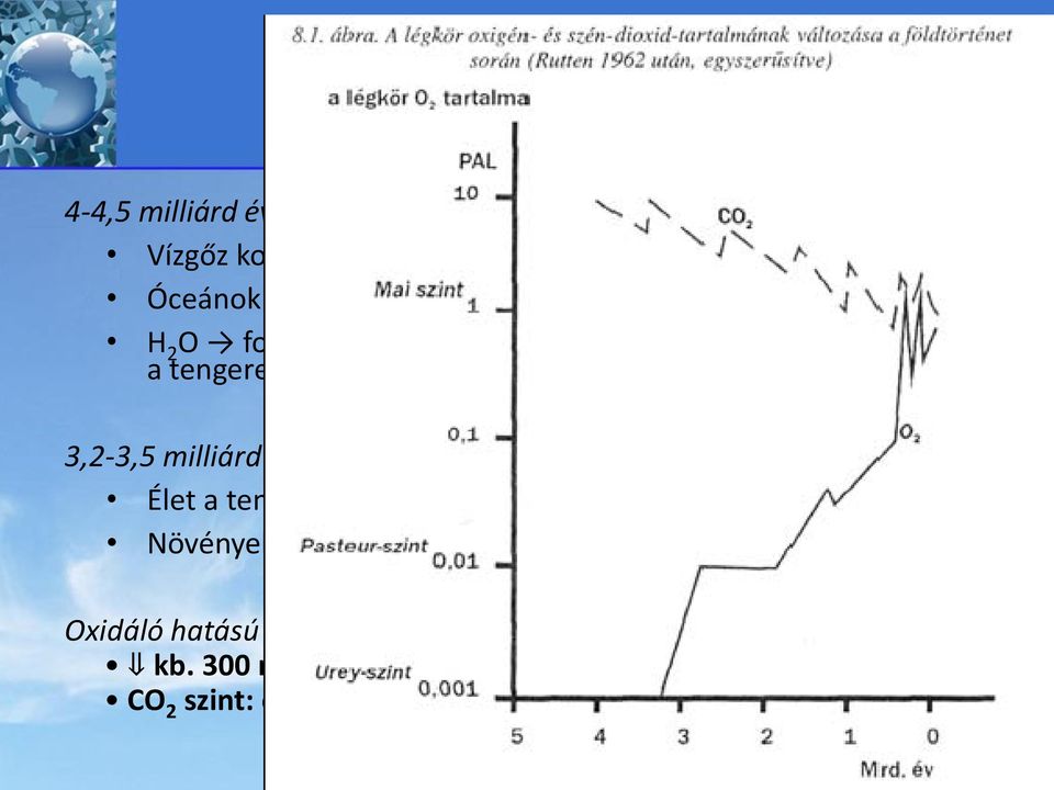 megjelent a földi élet Élet a tengerekben fotoszintézis: O 2 -t termel Növények kivonják a légkörből a CO 2 -ot és O 2