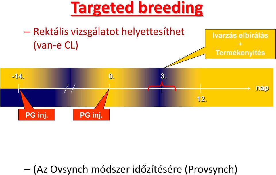 + Termékenyítés -14. 0. 3. 12. nap PG inj.