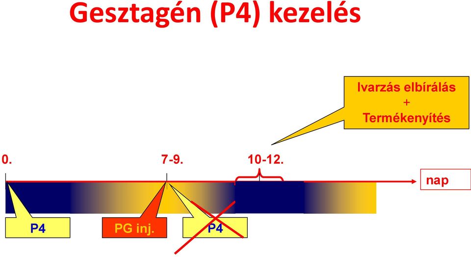 Termékenyítés 0. 7-9.