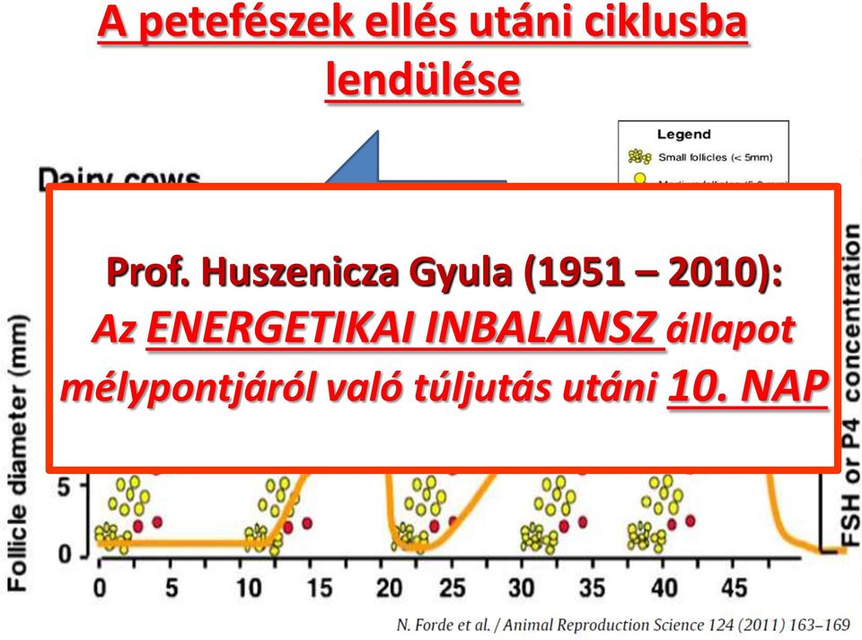 Huszenicza Gyula (1951 2010): Az ENERGETIKAI