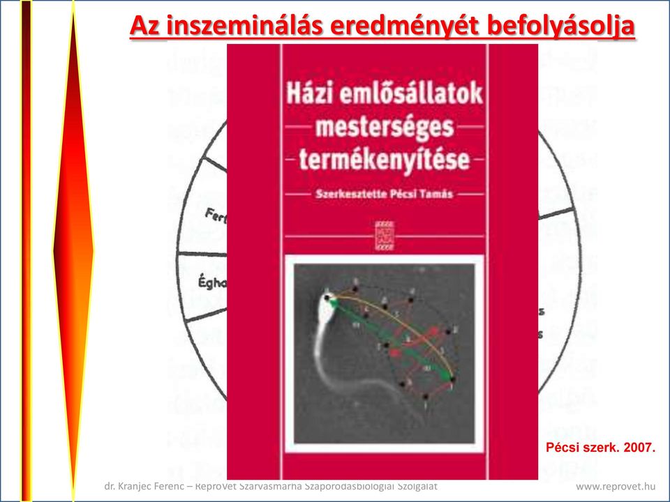 eredményét