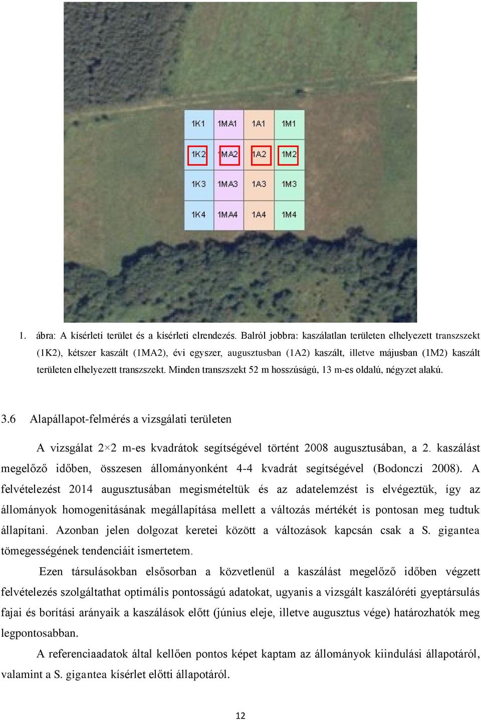 Minden transzszekt 52 m hosszúságú, 13 m-es oldalú, négyzet alakú. 3.6 Alapállapot-felmérés a vizsgálati területen A vizsgálat 2 2 m-es kvadrátok segítségével történt 2008 augusztusában, a 2.