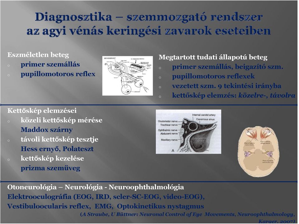 9 tekintési irányba kettőskép elemzés: közelre-, távlra Kettőskép elemzései közeli kettőskép mérése Maddx szárny távli kettőskép tesztje Hess