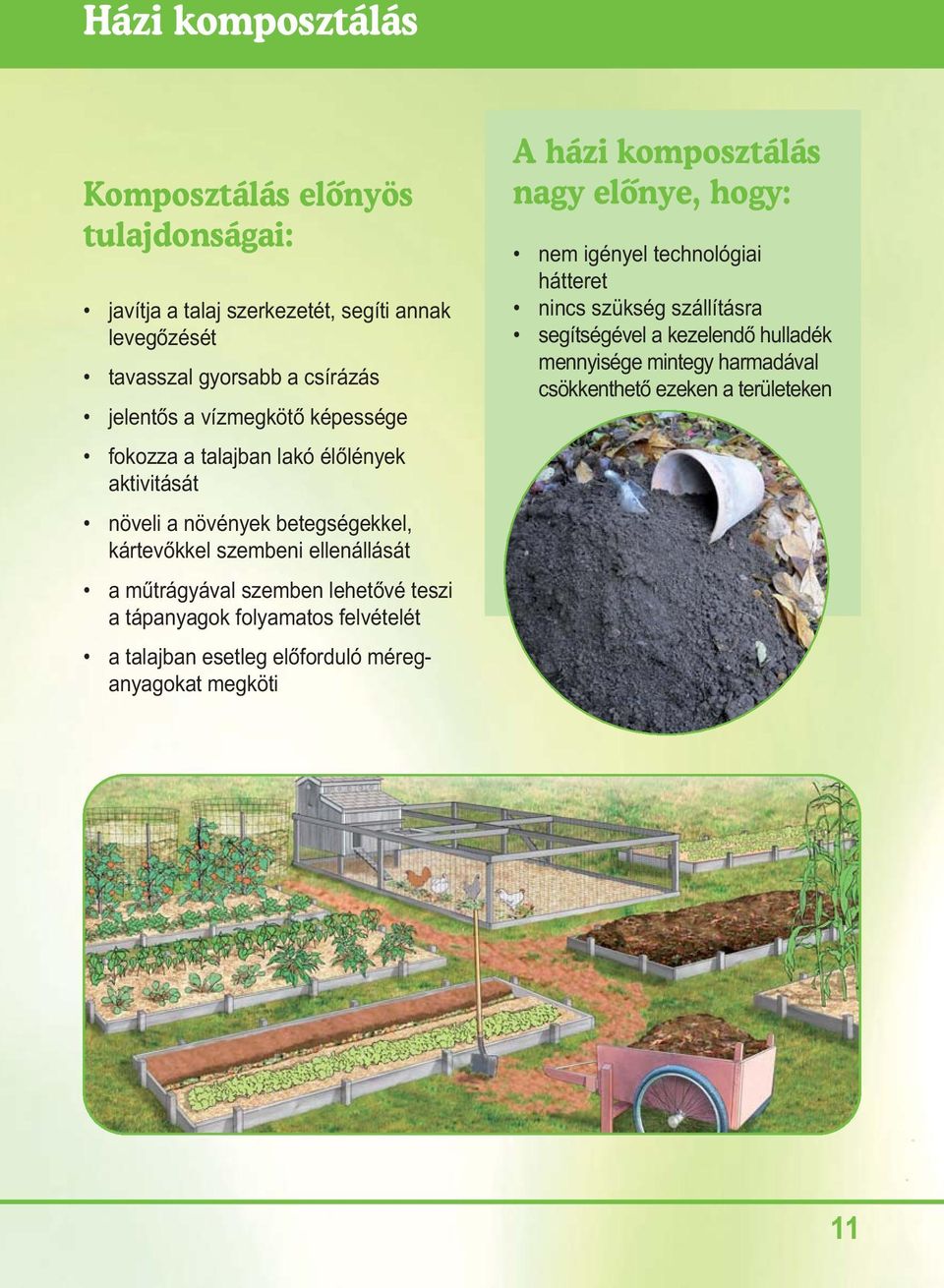 szemben lehetôvé teszi a tápanyagok folyamatos felvételét a talajban esetleg elôforduló méreganyagokat megköti A házi komposztálás nagy elônye, hogy: