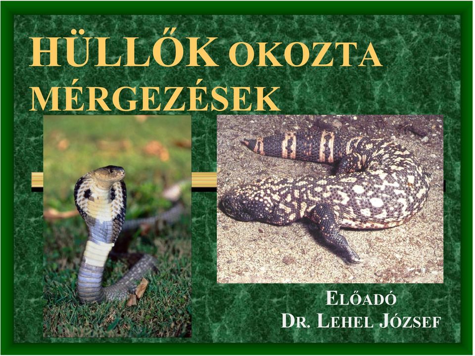 MÉRGEZÉSEK