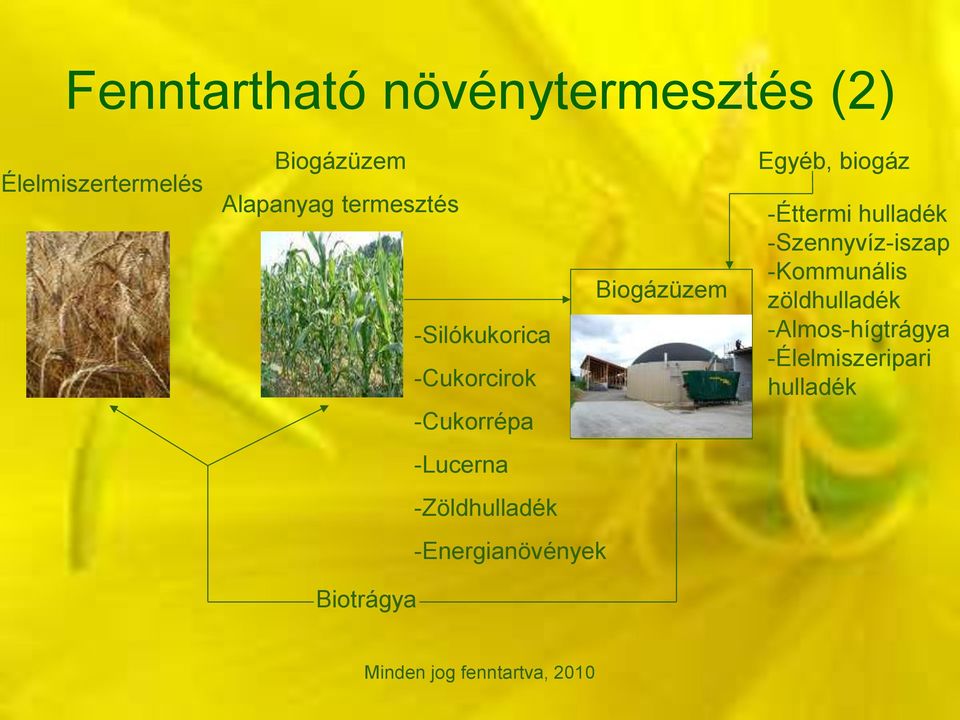 -Zöldhulladék -Energianövények Biotrágya Egyéb, biogáz -Éttermi hulladék