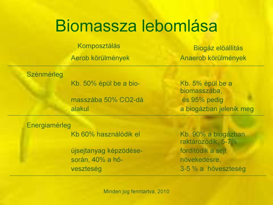 5% épül be a biomasszába, és 95% pedig a biogázban jelenik meg Energiamérleg Kb 60% használódik
