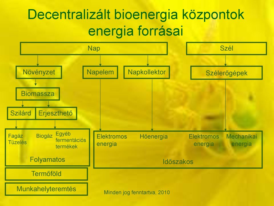 Tüzelés Biogáz Egyéb fermentációs termékek Elektromos energia Hőenergia