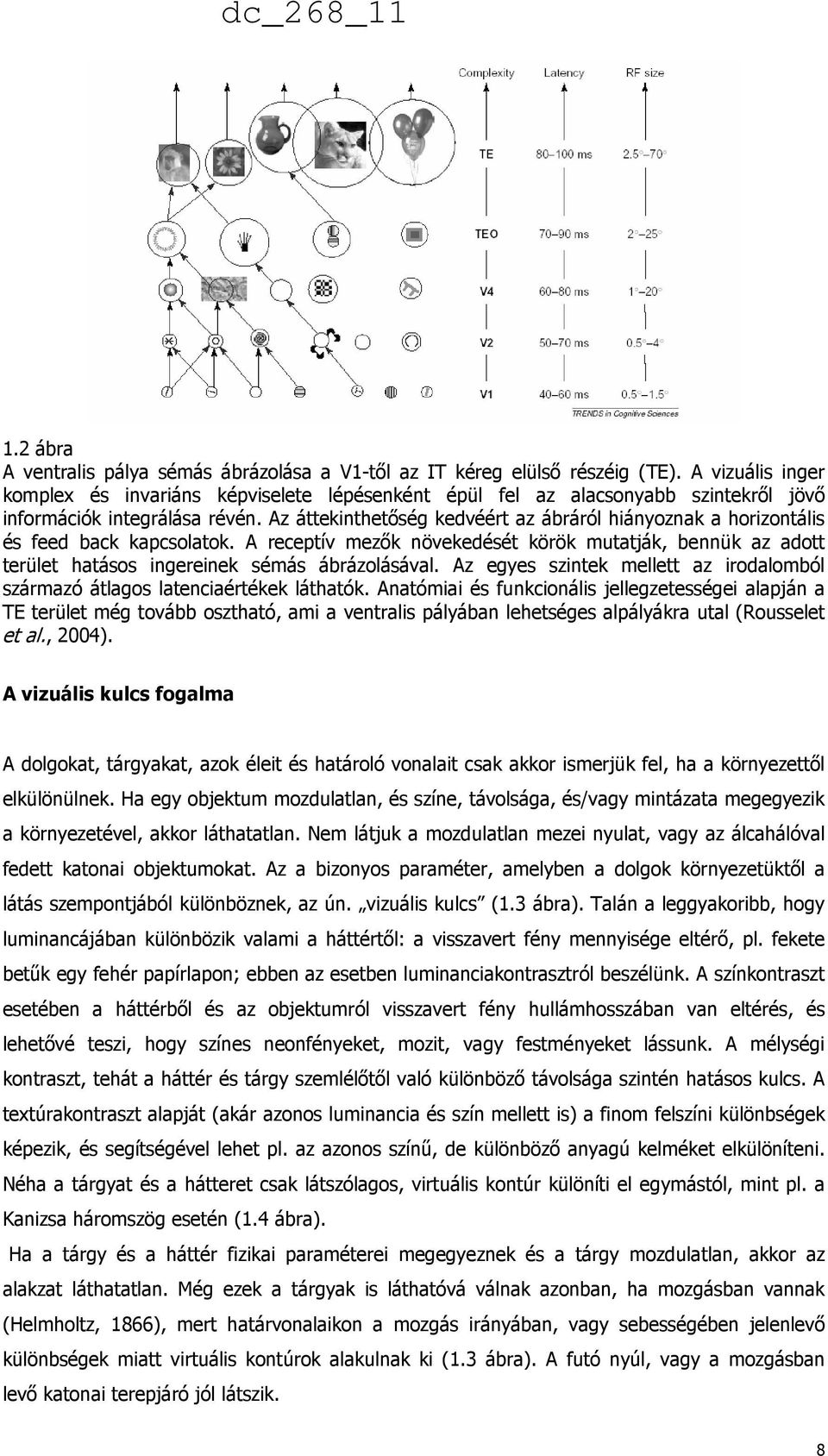 Az áttekinthetőség kedvéért az ábráról hiányoznak a horizontális és feed back kapcsolatok. A receptív mezők növekedését körök mutatják, bennük az adott terület hatásos ingereinek sémás ábrázolásával.