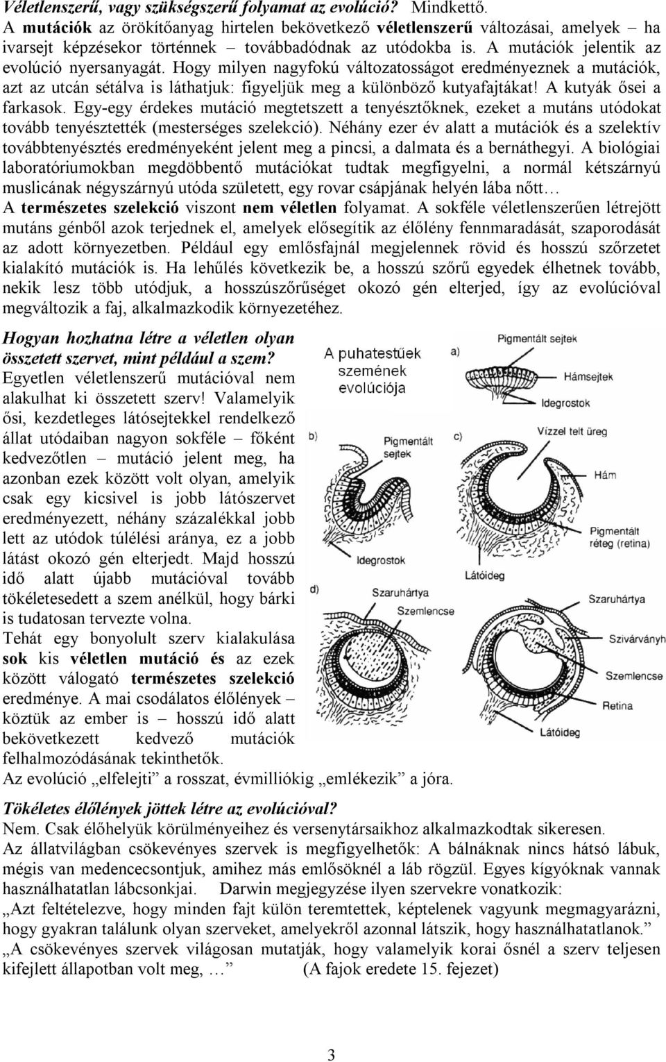 Hogy milyen nagyfokú változatosságot eredményeznek a mutációk, azt az utcán sétálva is láthatjuk: figyeljük meg a különböző kutyafajtákat! A kutyák ősei a farkasok.