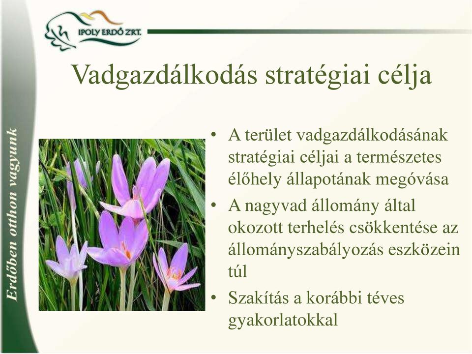 A nagyvad a lloma ny a ltal okozott terhele s cso kkente se az a lloma