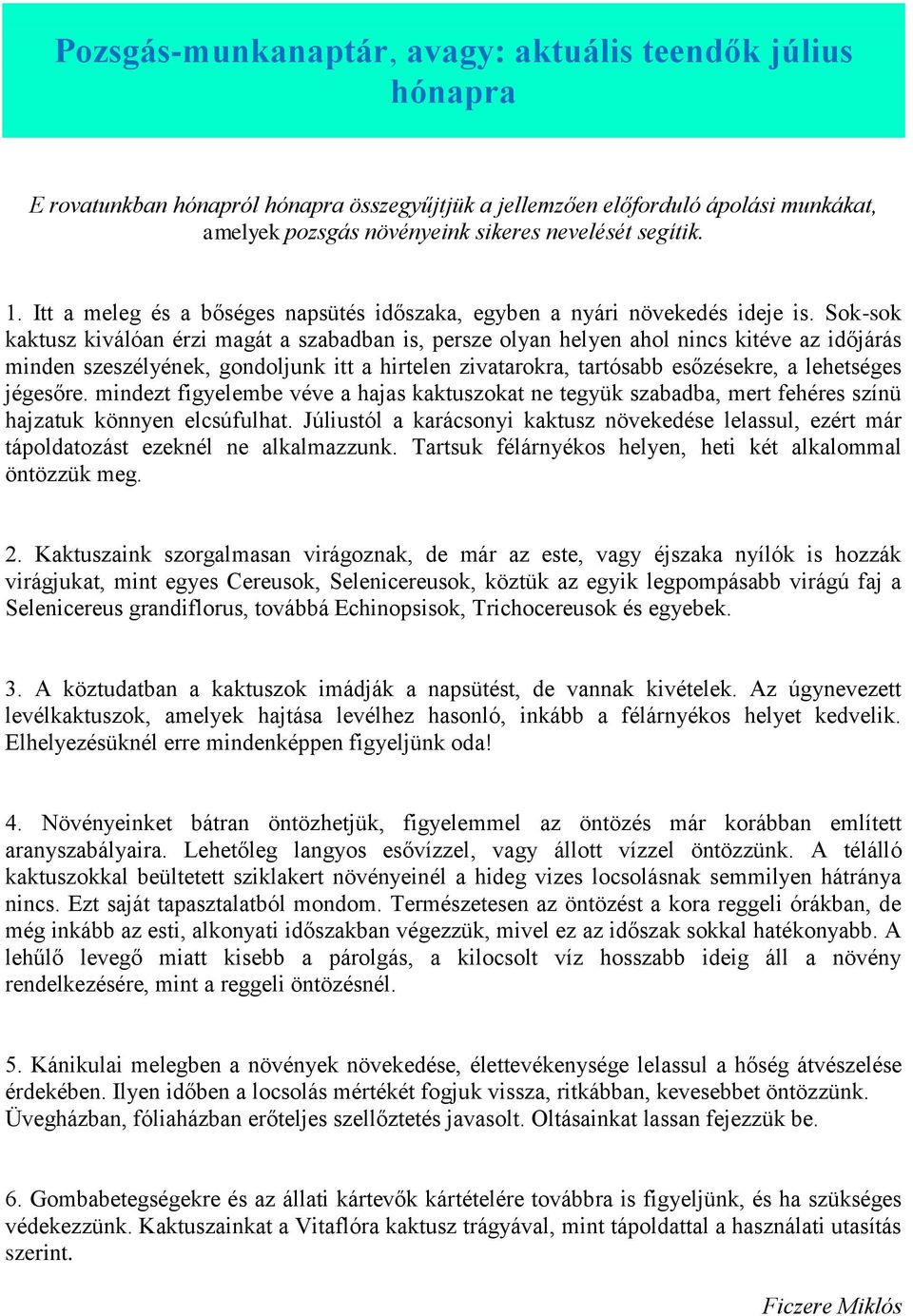 Sok-sok kaktusz kiválóan érzi magát a szabadban is, persze olyan helyen ahol nincs kitéve az időjárás minden szeszélyének, gondoljunk itt a hirtelen zivatarokra, tartósabb esőzésekre, a lehetséges