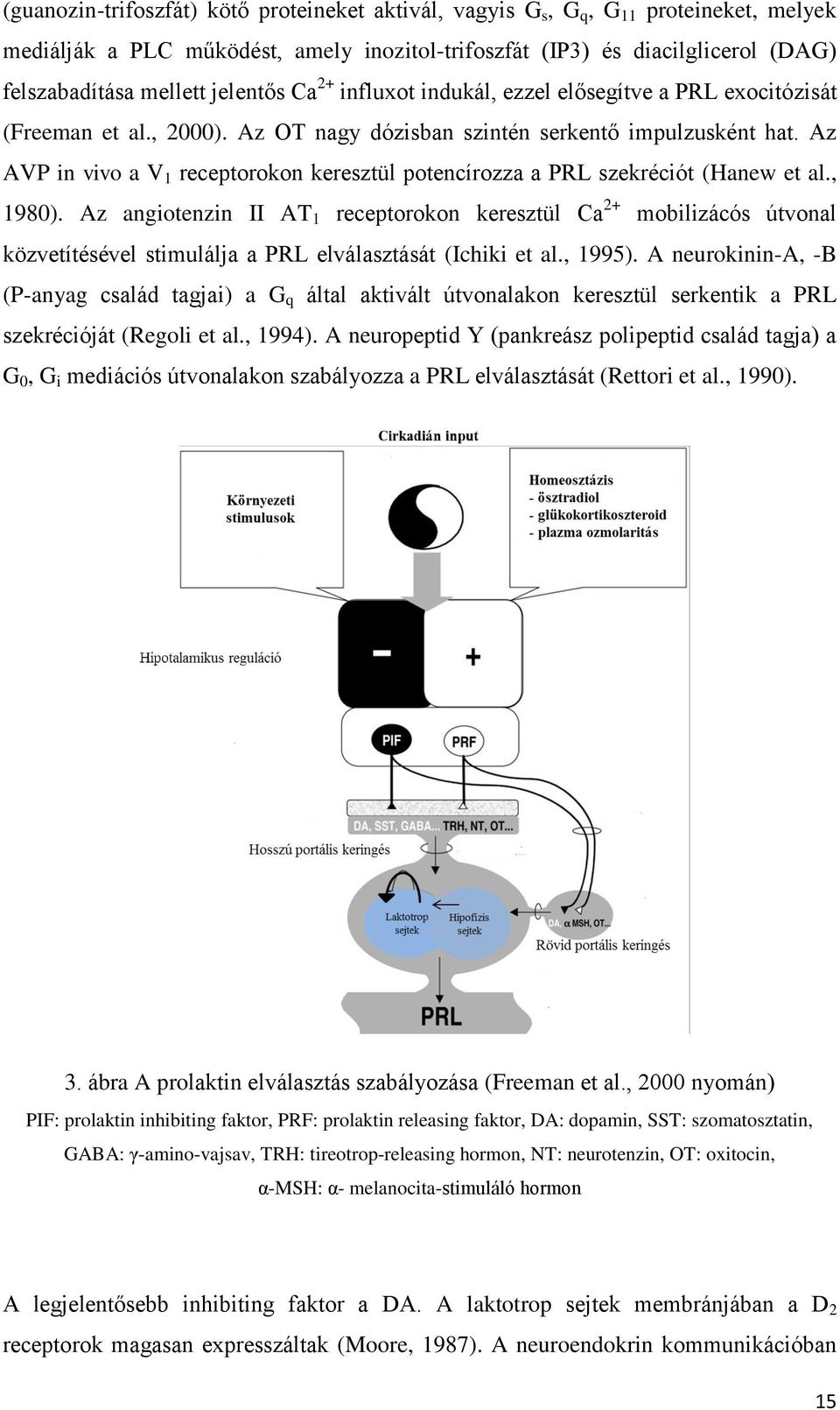 Az AVP in vivo a V 1 receptorokon keresztül potencírozza a PRL szekréciót (Hanew et al., 1980).
