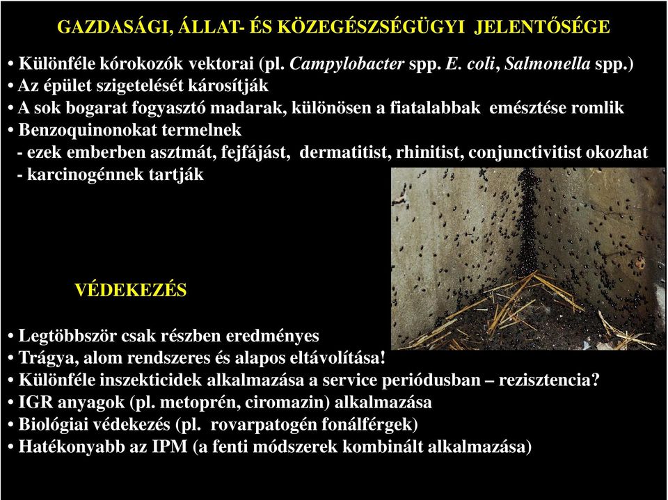 dermatitist, rhinitist, conjunctivitist okozhat - karcinogénnek tartják VÉDEKEZÉS Legtöbbször csak részben eredményes Trágya, alom rendszeres és alapos eltávolítása!