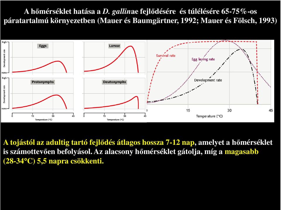 Baumgärtner, 1992; Mauer és Fölsch, 1993) A tojástól az adultig tartó fejlődés