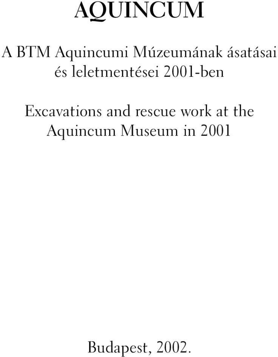 Excavations and rescue work at the