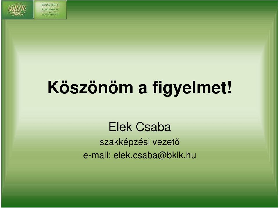 Elek Csaba