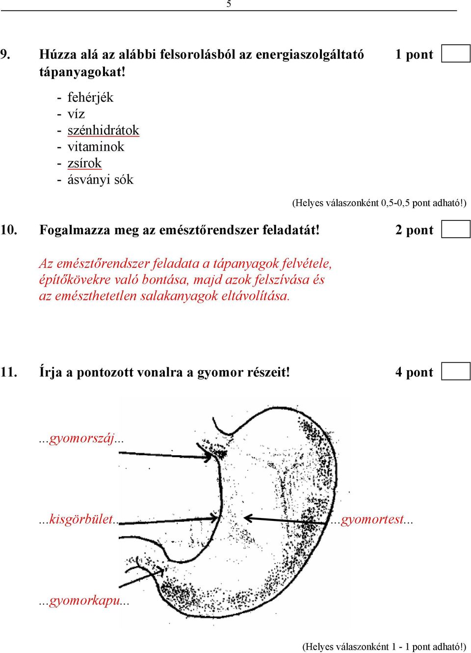 2 pont Az emésztőrendszer feladata a tápanyagok felvétele, építőkövekre való bontása, majd azok felszívása és az emészthetetlen