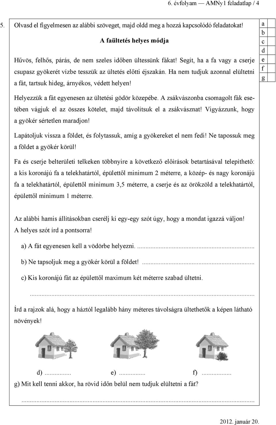 A zsákvászon somgolt fák esetéen vágjuk el z összes kötelet, mj távolítsuk el zsákvásznt! Vigyázzunk, hogy gyökér sértetlen mrjon! Lpátoljuk vissz fölet, és folytssuk, míg gyökereket el nem fei!