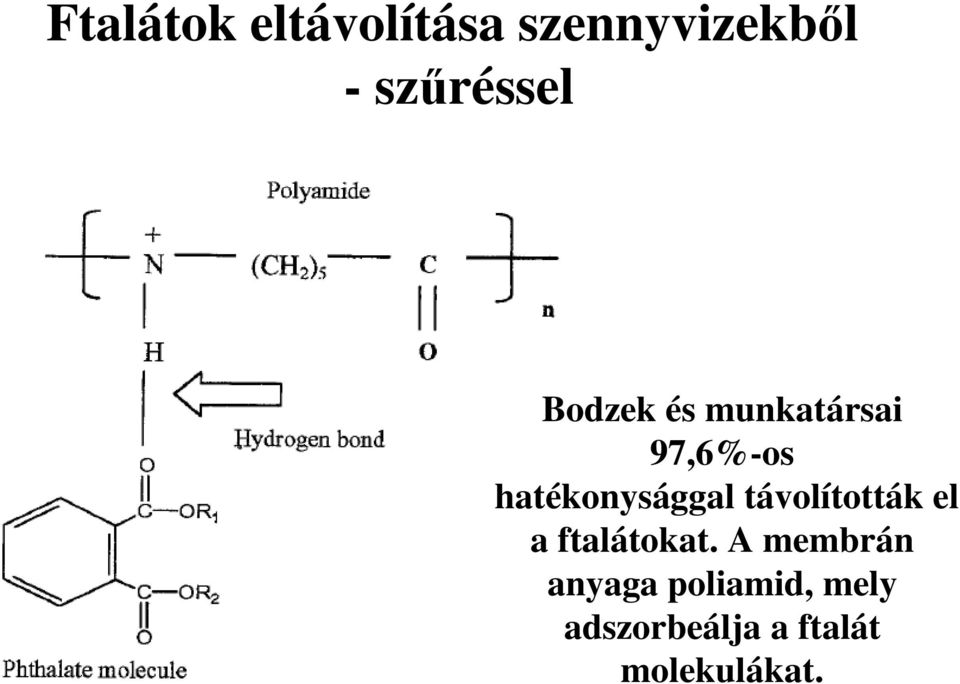 hatékonysággal távolították el a ftalátokat.