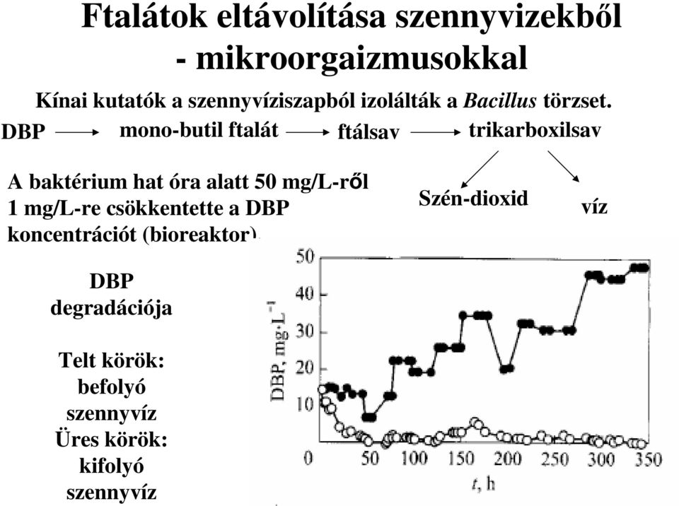 DBP mono-butil ftalát ftálsav trikarboxilsav A baktérium hat óra alatt 50 mg/l-ről 1