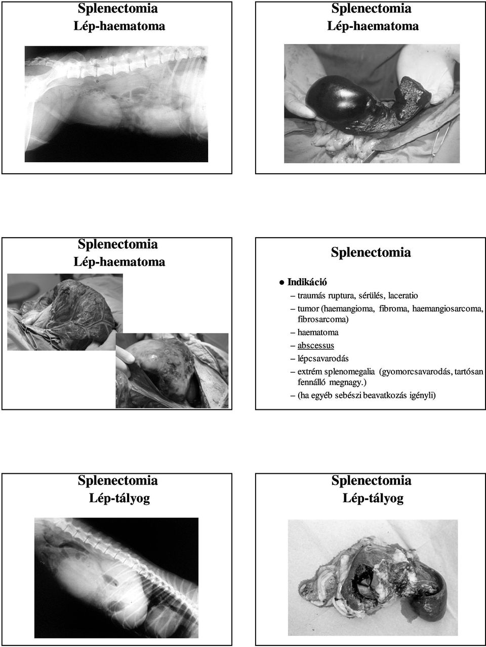 (haemangioma, fibroma,