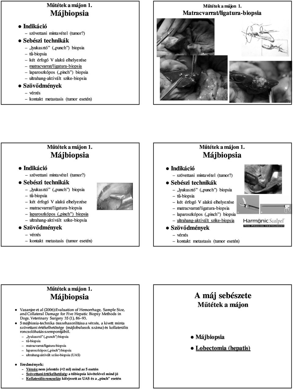 szövettani mintavétel (tumor? szövettani mintavétel (tumor?